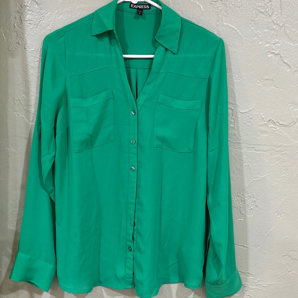 Express long sleeved dress button down shirt